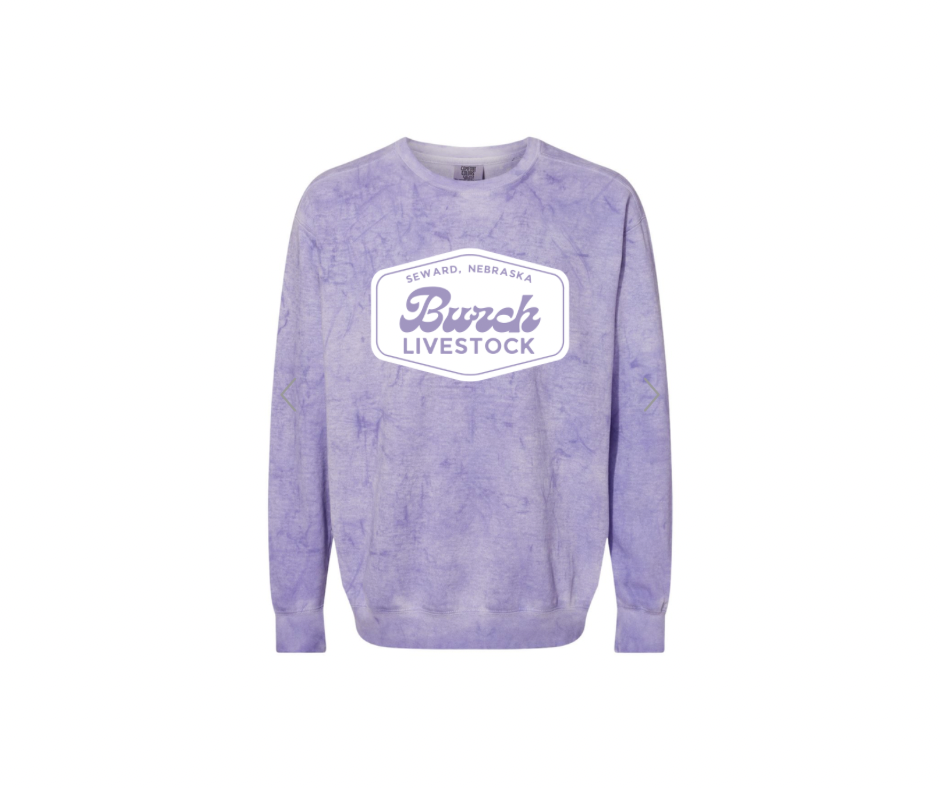 Comfort Colors Unisex Colorblast Crewneck Sweatshirt