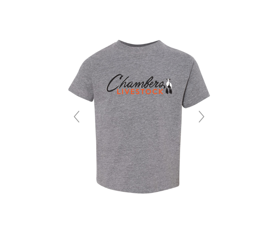 Gildan Softstyle T-Shirt