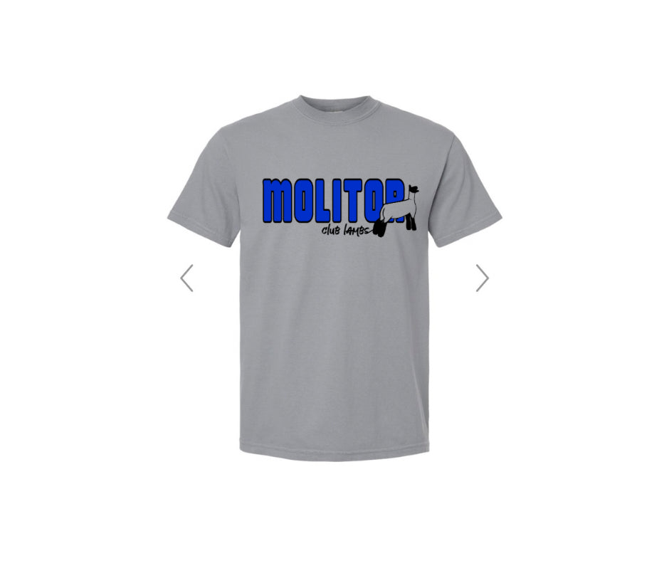 Comfort Colors Youth Garment Dyed T-Shirt - Molitor