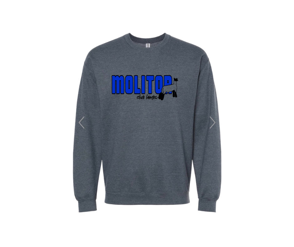 Gildan Youth Heavy Blend Crewneck Sweatshirt - Molitor