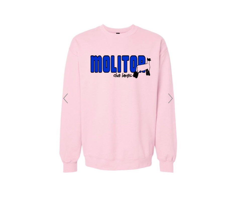Gildan Unisex Midweight Softstyle Crewneck Sweatshirt - Molitor