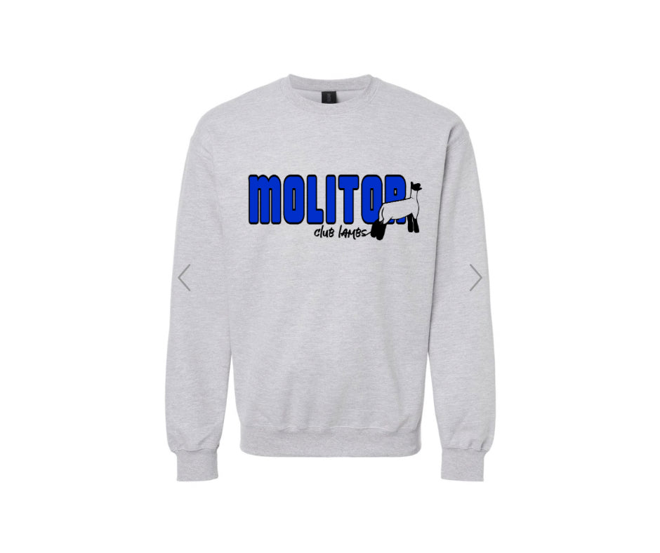 Gildan Unisex Midweight Softstyle Crewneck Sweatshirt - Molitor
