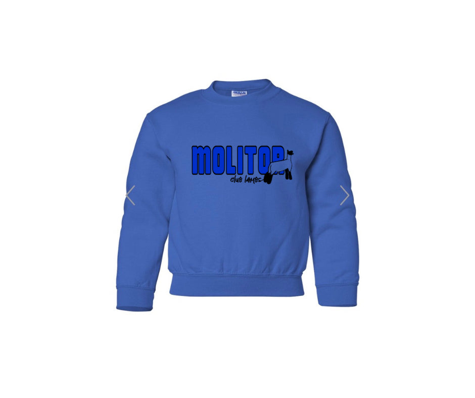 Gildan Youth Heavy Blend Crewneck Sweatshirt - Molitor