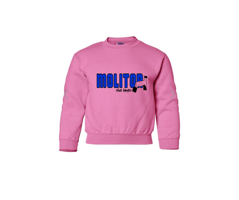 Gildan Youth Heavy Blend Crewneck Sweatshirt - Molitor
