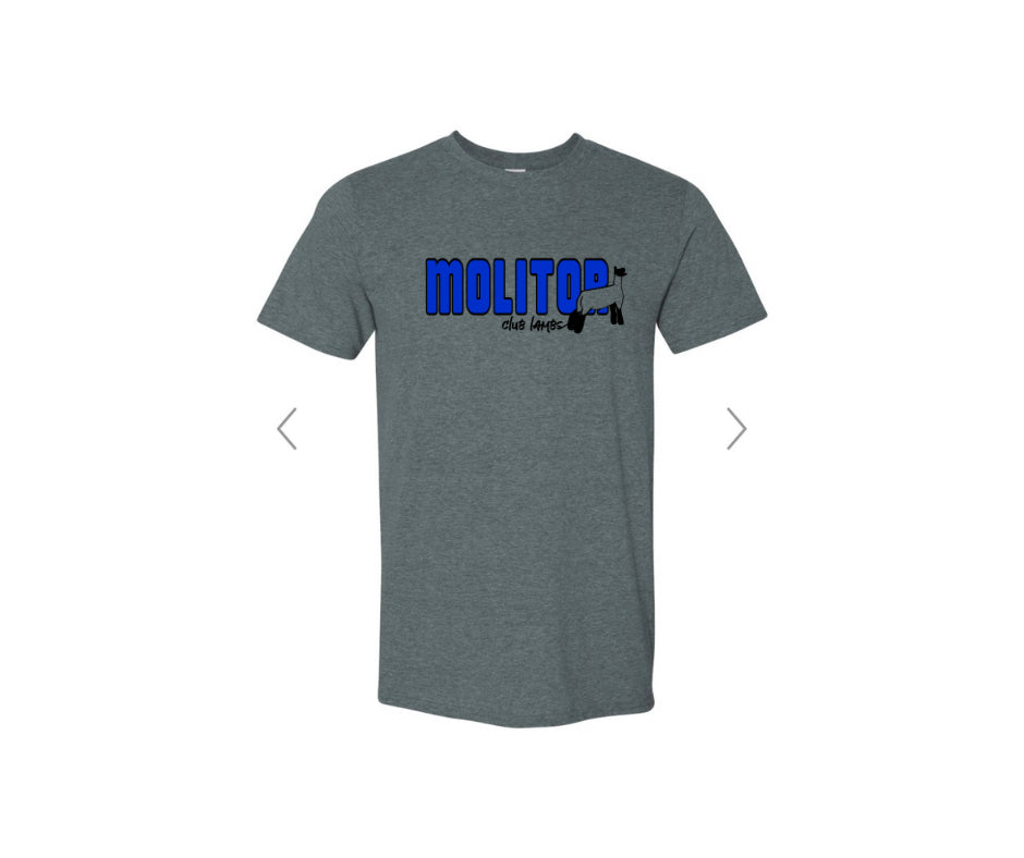 Gildan Youth Softstyle T-Shirt - Molitor