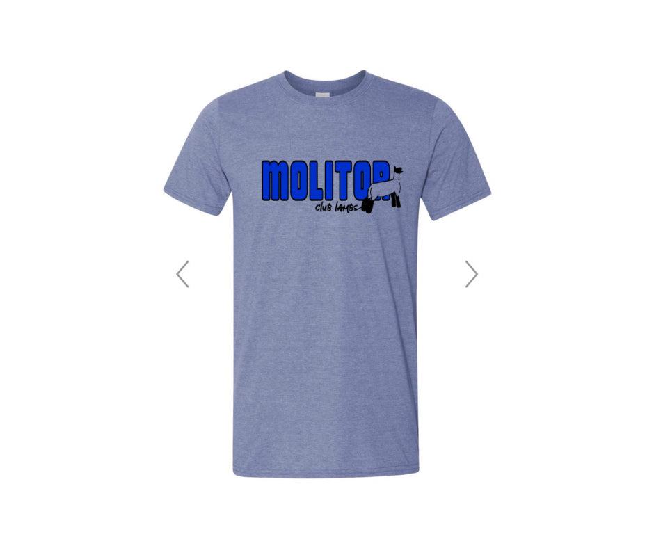 Comfort Colors T-shirt - Molitor