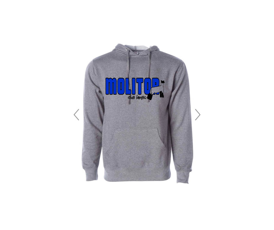 Independent Trading - Unisex Midweight Hooded Sweatshirt - Molitor