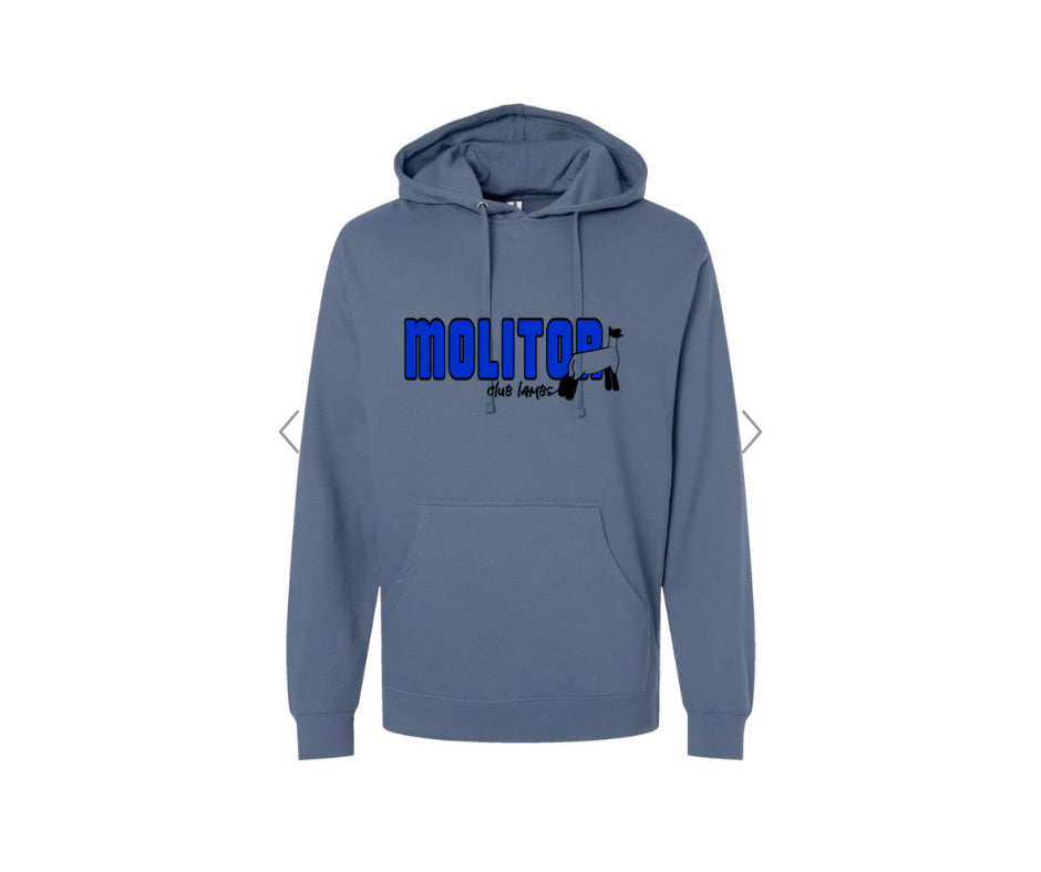 Independent Trading - Unisex Midweight Hooded Sweatshirt - Molitor