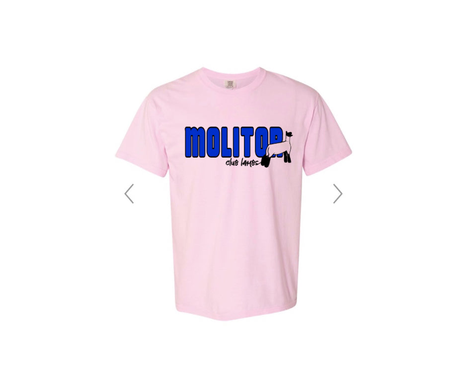 Comfort Colors T-shirt - Molitor