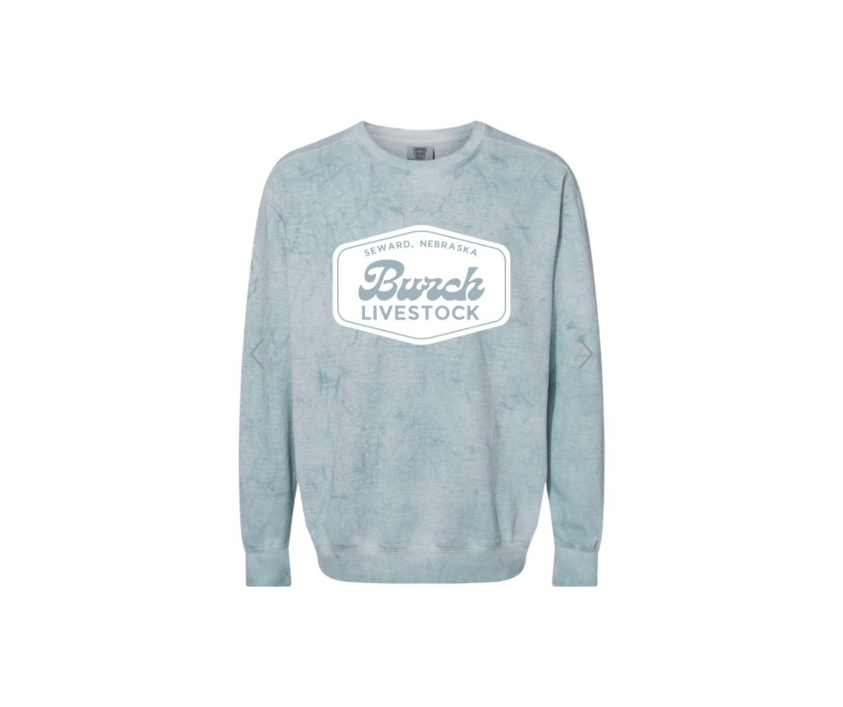 Comfort Colors Unisex Colorblast Crewneck Sweatshirt